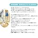 テレビショッピング研究所 スチームモップ H2O 別画像