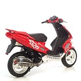 Leo Vince Scooter Hand Made Exhaust ZX PEUGEOT X-Fight 50 WRC 2002-2003 by speedaddictcycles