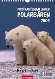 Polarb&auml;ren, Postkartenkalender - Daniel J. Cox