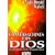 Conversaciones con Dios: una experiencia extraordinaria