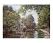 Peace Be Still Scenic Giclee Poster Print by L Diane Johnson, 10x8