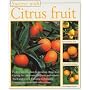 Success with Citrus Fruit