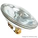 Ushio 1003533 - 35PAR36/FL30/12V - 35 Watt Halogen PAR36 Flood Light Bulb