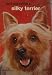 How to Raise and Train a Silky Terrier.