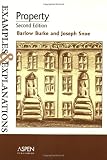 Property (Examples & Explanations)