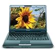 Toshiba Satellite U405-S2820 13.3-inch Laptop (1.83 GHz Intel Core 2 Duo T5550 Processor, 2 GB RAM, 250 GB Hard Drive, DVD Drive, Vista Premium) Toshiba Satellite U405-S2820 13.3-inch Laptop (1.83 GHz Intel Core 2 Duo T5550 Processor, 2 GB RAM, 250 GB Hard Drive, DVD Drive, Vista Premium)