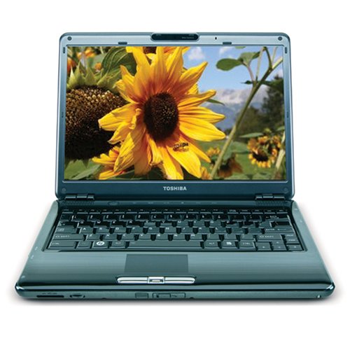 Toshiba Satellite U405-S2820 13.3-inch Laptop (1.83 GHz Intel Core 2 Duo T5550 Processor, 2 GB RAM, 250 GB Hard Drive, DVD Drive, Vista Premium)