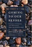 Coming to Our Senses: Healing Ourselves and the World Through Mindfulness( Rough Cut )