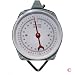 110 lb. Hanging Spring Kitchen Dial Scale