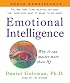 Emotional Intelligence : Why it can matter more than IQ