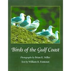 Birds of the Gulf Coast