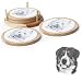 Wooden Coaster Set with Tile Insert featuring the Greater Swiss Mountain Dog