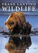 Wildlife (Big Calendar)