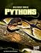 Pythons (Edge Books: Wild about Snakes)