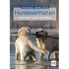 Hundeverhalten - erkennen und verstehen