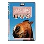 All Creatures Great & Small - The Complete Series 5 Collection