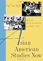 Asian American studies now : a critical reader