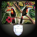 Colorful Toucans Decorative Night Light