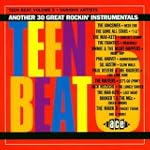 Teen Beat, Vol. 5