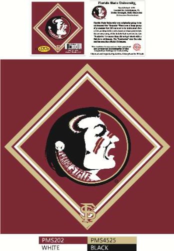 Florida State University Hi-Look Microfiber Lens Cleaning Cloth