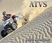 ATVS 2008 Calendar