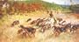 Hounds and Hunting Through the Ages (The Derrydale Press Foxhunters' Library)