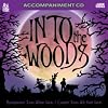 Sing The Broadway Musical INTO THE WOODS (Accompaniment 2-CD Set)