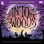 Sing The Broadway Musical INTO THE WOODS (Accompaniment 2-CD Set)