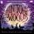 Sing The Broadway Musical INTO THE WOODS (Accompaniment 2-CD Set)