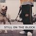 Still on the Block