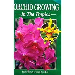Orchid Growing in the Tropics