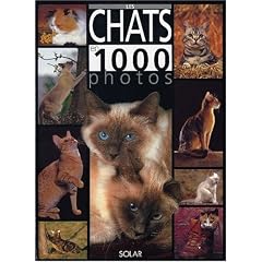 Les chats en 1000 photos