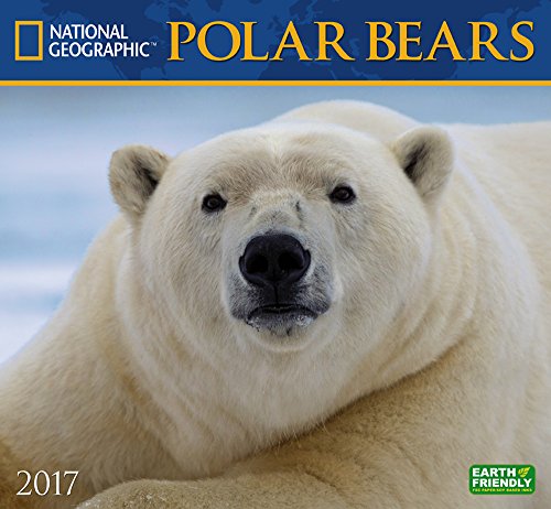 National Geographic Polar Bears 2017 Wall Calendar