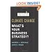 Climate Change: What's Your Business Strategy? (Memo to the CEO)