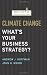 Climate Change: What's Your Business Strategy? (Memo to the Ceo)