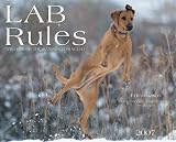 Lab Rules 2007 Calendar