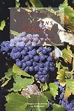 Revue La Mirandole  / Les vins mythiques de la Cévenne ardéchoise et du Bas-Vivarais