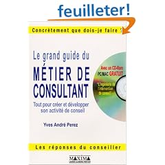 Le grand guide du m�tier de consultant