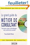 Le grand guide du m�tier de consultant