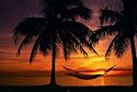 Poster Hammock Sunset - Hängematte Sonnenuntergang Palmen Palmenstrand Südsee Karibik Strand - Maxiposter - Größe 91,5 x 61 cm