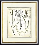 IMAGE OF Delicate Grasses I, Framed Art Print by McHugh