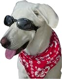 Doggles ILS Medium Black/Smoke