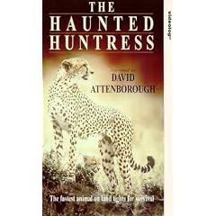 Haunted Huntress [VHS] [UK Import]