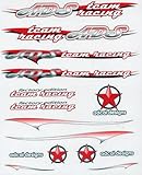 TEAM RACER DECAL SET