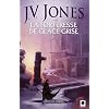La Forteresse de glace grise, (L'Ep�e des ombres ****)