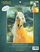 Golden Sunset Horse Embellished Cross Stitch Kit - 12"X16" 14 Count