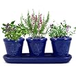French Herb Garden