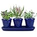 French Herb Garden