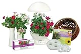 AeroGarden 900220-1250 Florist In A Box, White