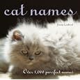 Cat Names by  Jenny Linford